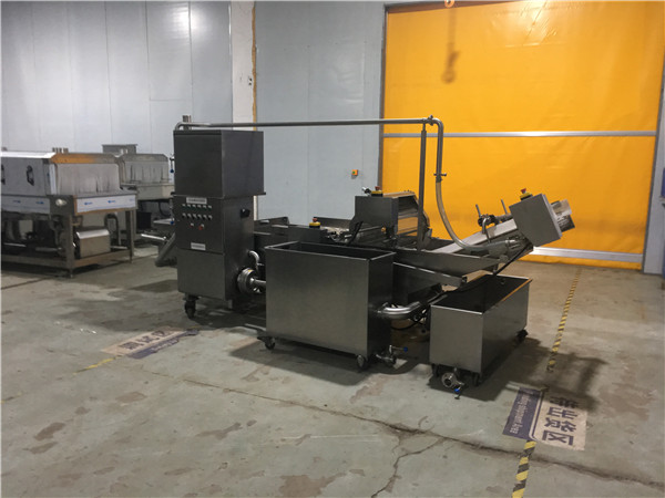 香菇清洗機(jī)，有效清洗，過濾泥沙