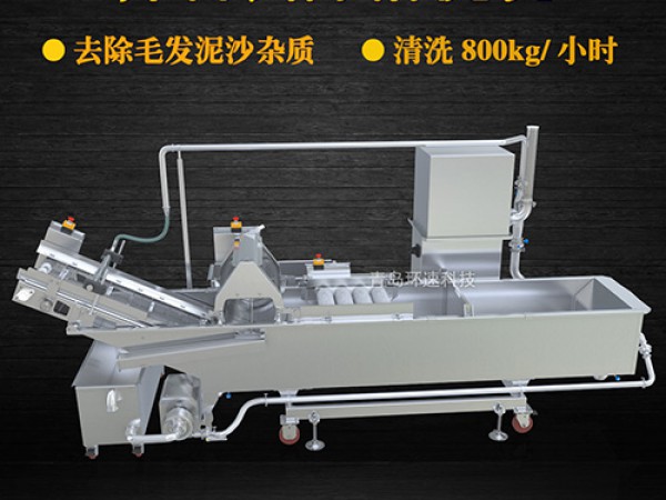 蔬菜清洗機(jī)，氣泡清洗，清洗800kg/小時(shí)